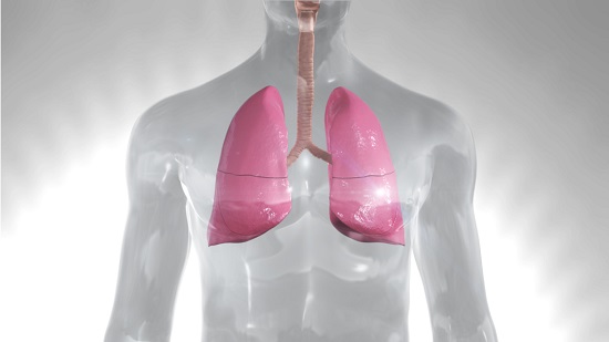 Newly discovered bacterial defence mechanism in the lungs - healthinnovations