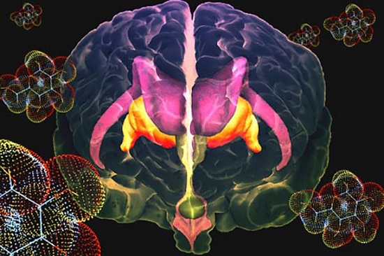 Set of Molecules found to link Insulin Resistance in the Brain to Diabetes - healthinnovations