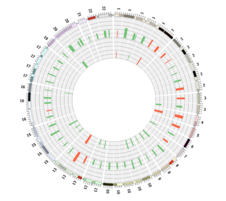 Circos plot showing the frequencies of prostate cancer samples positive for the respective region. The outer circle depicts all preselected consolidated regions. The inner circle depicts the 20 regions selected for the final model. Regions of copy-number loss are shown in red, gains in green. The scale of each circle is 0-0.5. The outer scale shows chromosome positions in Mbp (HG18).  Chromosomal Instability in Cell-Free DNA Is a Serum Biomarker for Prostate Cancer.  Narod et al 2014.