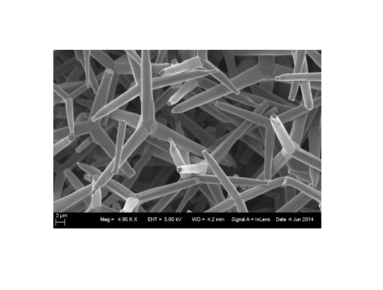 Zinc oxide tetrapod nanoparticles. Credit: Deepak Shukla.